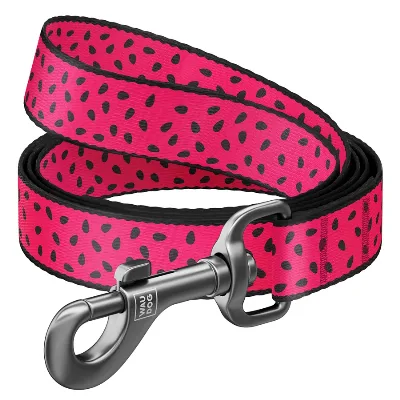 Повідець для собак нейлоновий «Кавун», M WAUDOG Nylon Leash Watermelon