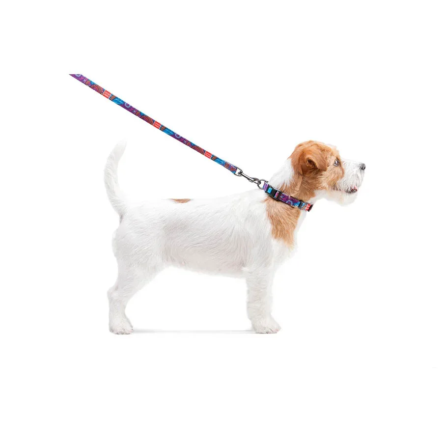 Повідець для собак нейлоновий «Літо», S WAUDOG Nylon Leash Summer