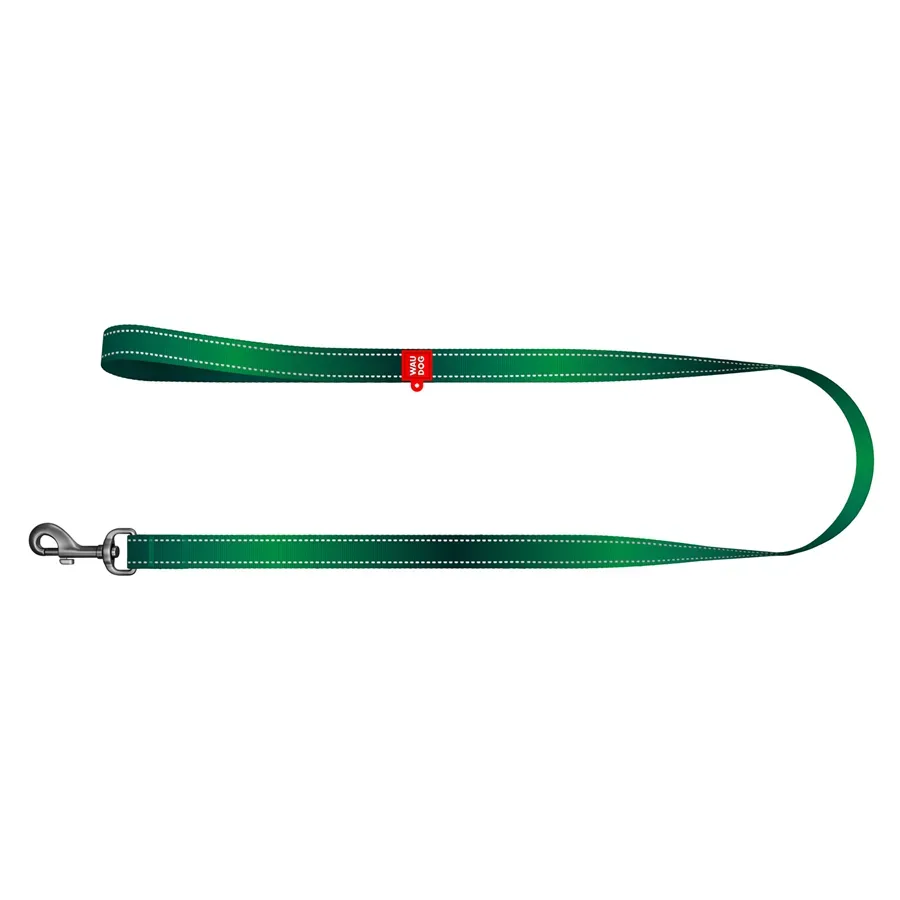 Поводок для собак нейлоновый светоотражающий, 20 мм × 300 см, M, зеленый WAUDOG Nylon Mono Leash