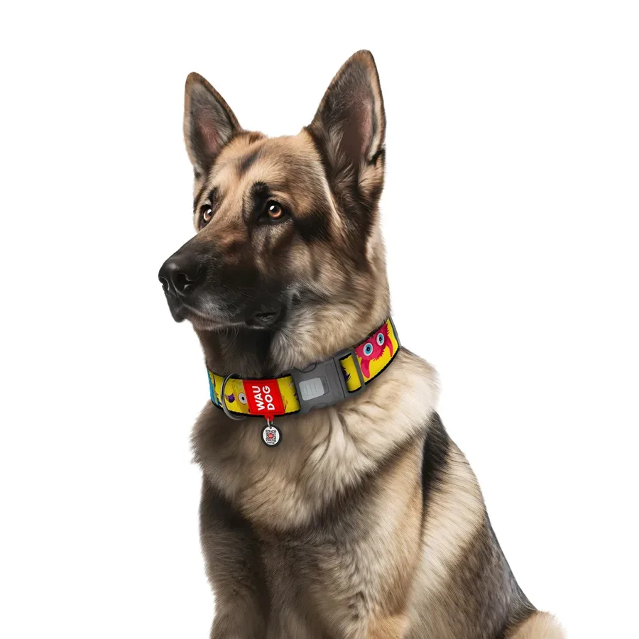 Нашийник для собак нейлоновий «Мохнаті монстри», XXL WAUDOG Nylon Collar Furry Monsters