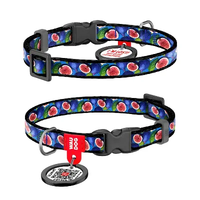 Нашийник для котів та дрібних порід собак нейлоновий «Інжир», XS WAUDOG Nylon Collar Figs