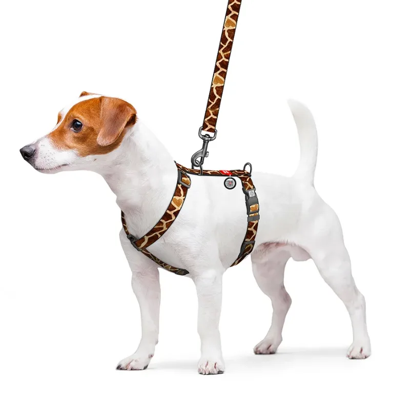 Шлея для собак анатомічна H-подібна «Жираф», S WAUDOG Nylon Harness Giraffe