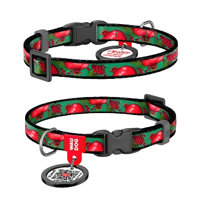 Нашийник для котів та дрібних порід собак нейлоновий «Гранати», XS WAUDOG Nylon Collar Pomegranates