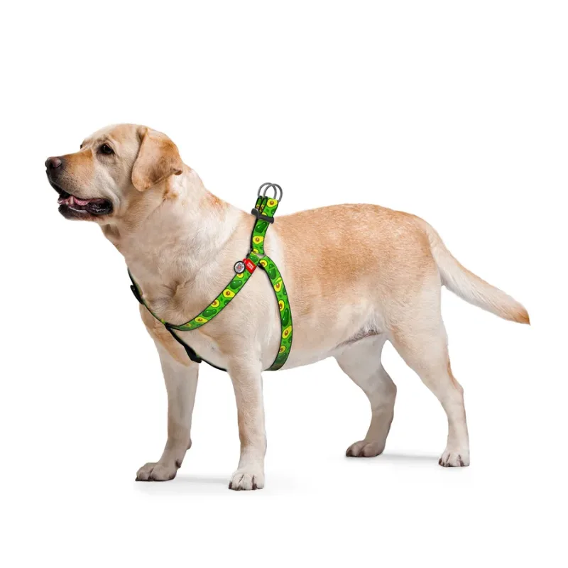 Шлея для собак «Авокадо», S WAUDOG Nylon Anatomic Harness Avocado