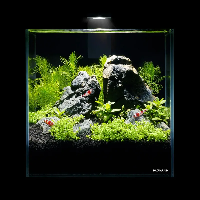 Комплект Pico Set 5 літрів AquaLighter Pico Aquarium Kit