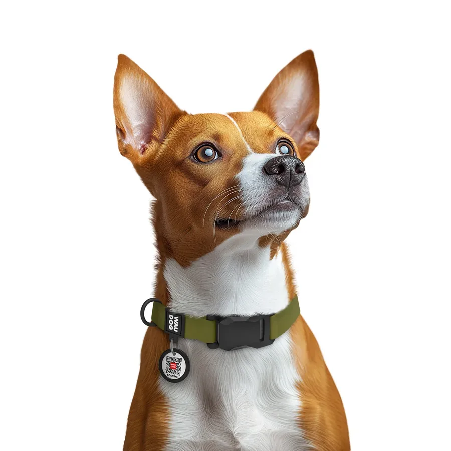 Ошейник для собак водостойкий, S, хаки WAUDOG Magnet Collar