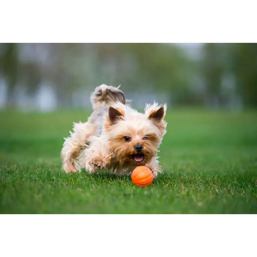 М'ячик ЛАЙКЕР5 LIKER Ball