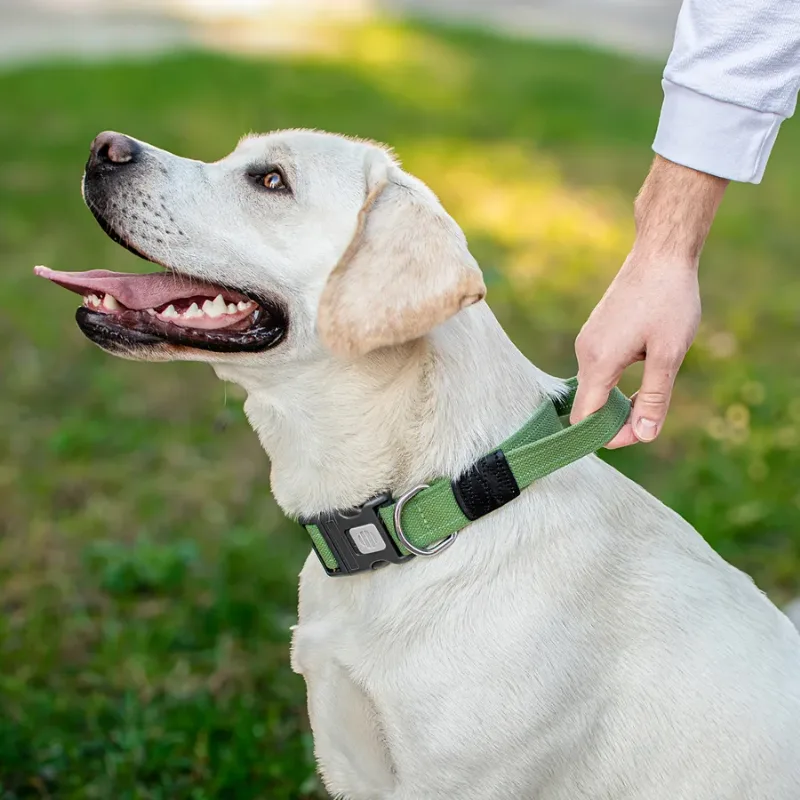 Нашийник для собак з ручкою бавовняна тасьма Брезент, L Collar Canvas Collar