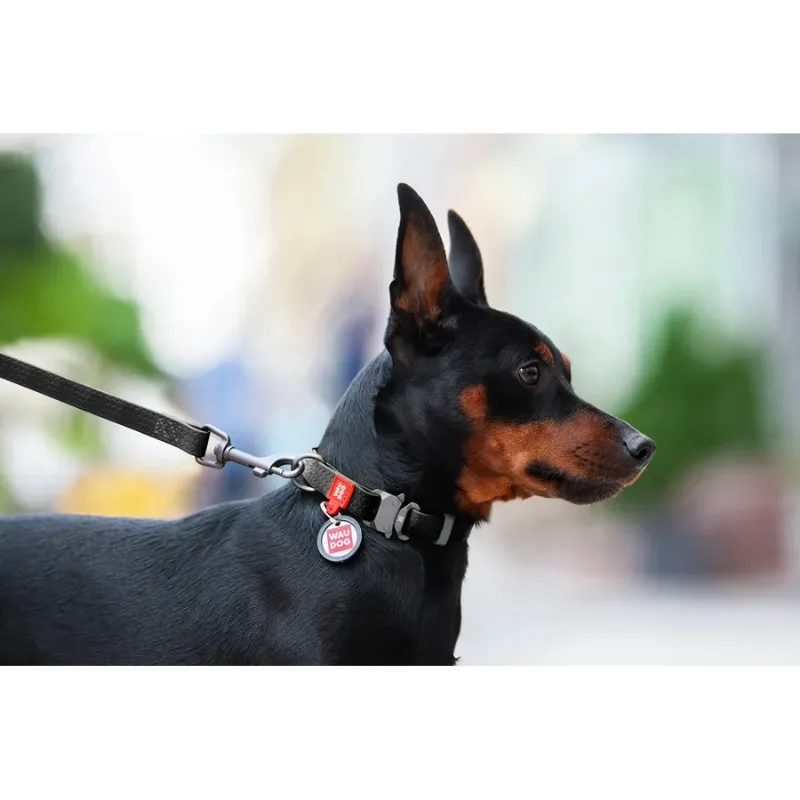Ошейник для собак водостойкий, металлическая пряжка, L, черный WAUDOG Waterproof Collar