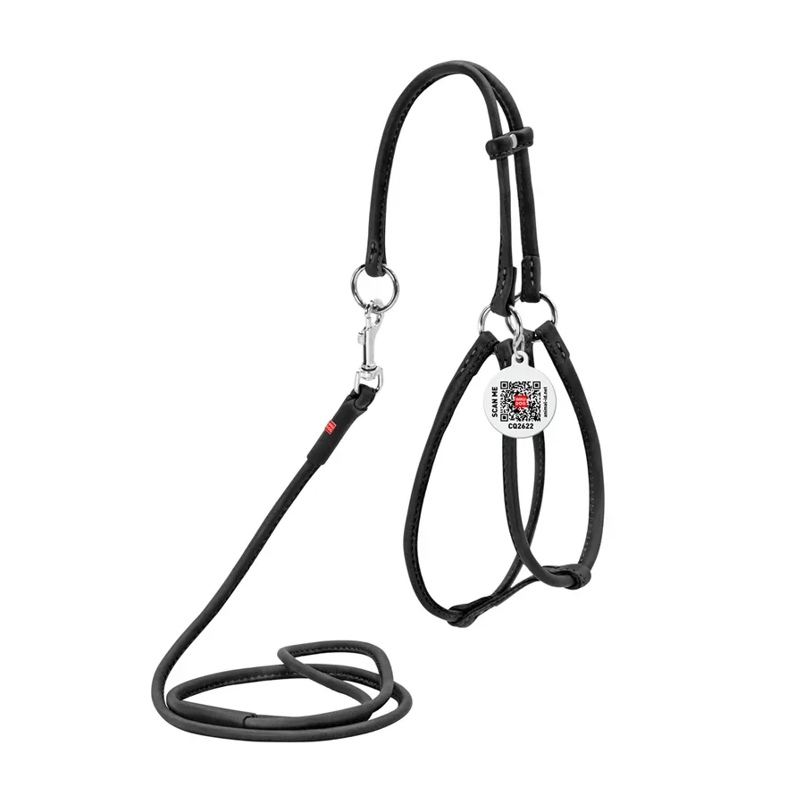 Шлея з повідцем для собак шкіряна, кругла, XS, чорний WAUDOG Soft Harness with Leash