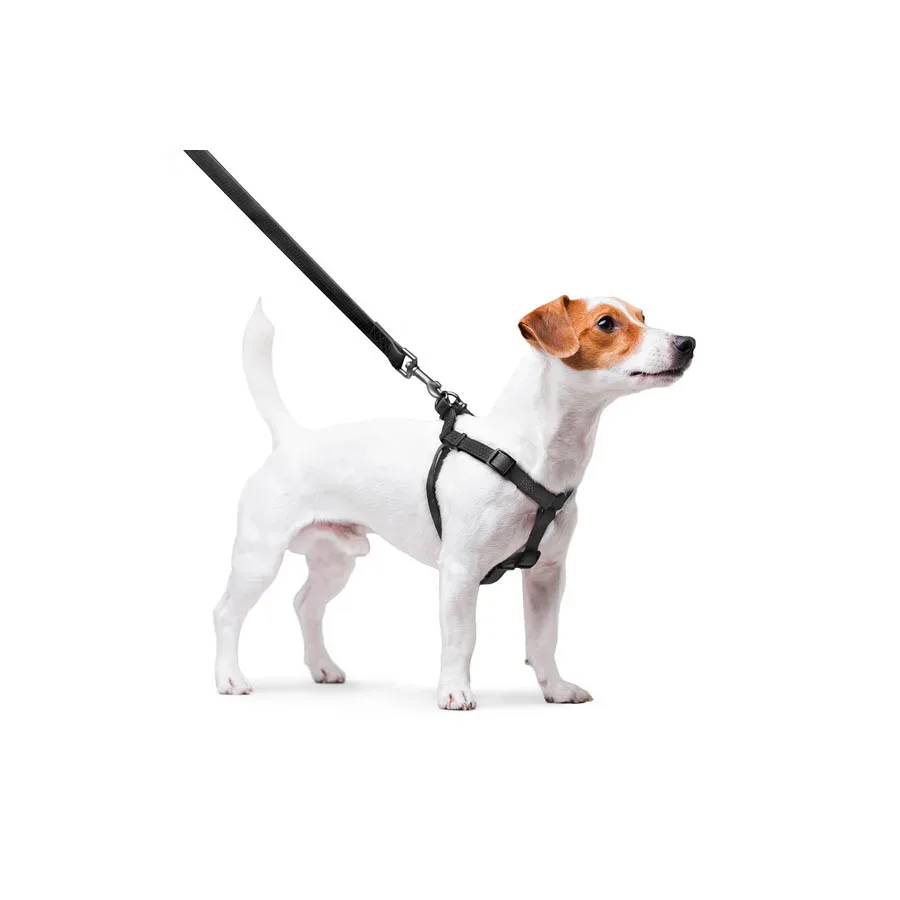 Шлея для собак водостойкая, S, черный WAUDOG Waterproof Harness