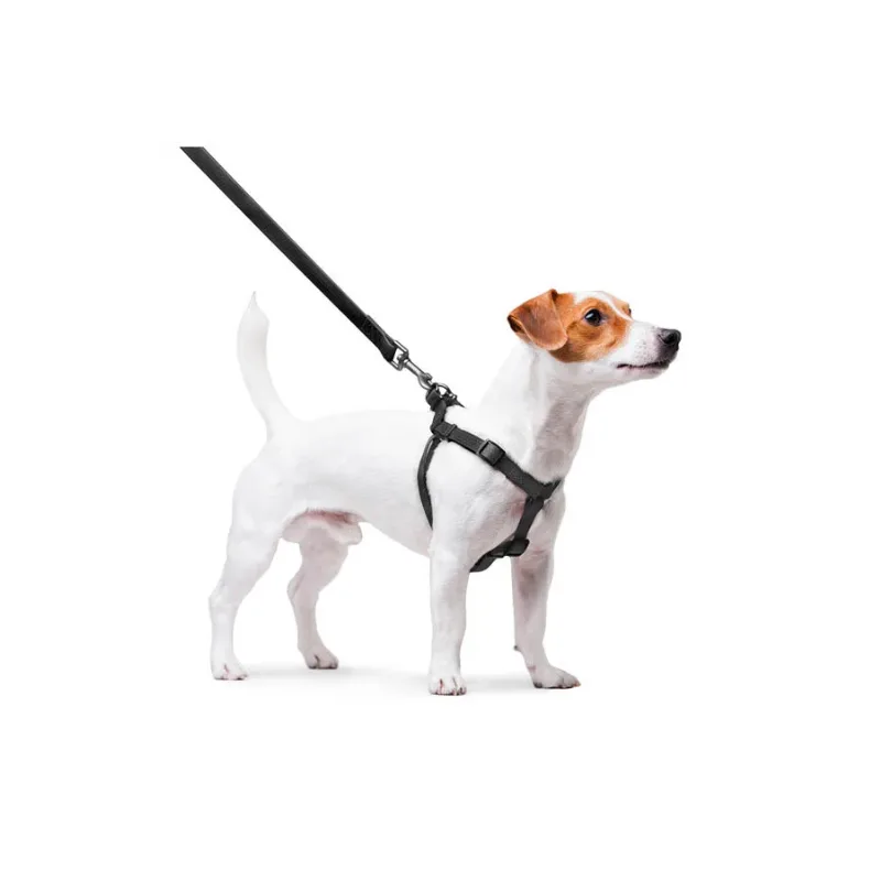 Шлея для собак водостойкая, S, черный WAUDOG Waterproof Harness