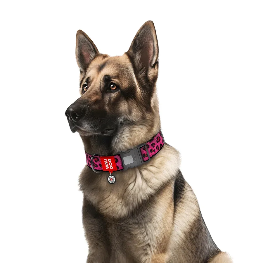 Ошейник для собак нейлоновый «Леопард розовый», XXL WAUDOG Nylon Collar Pink Leopard