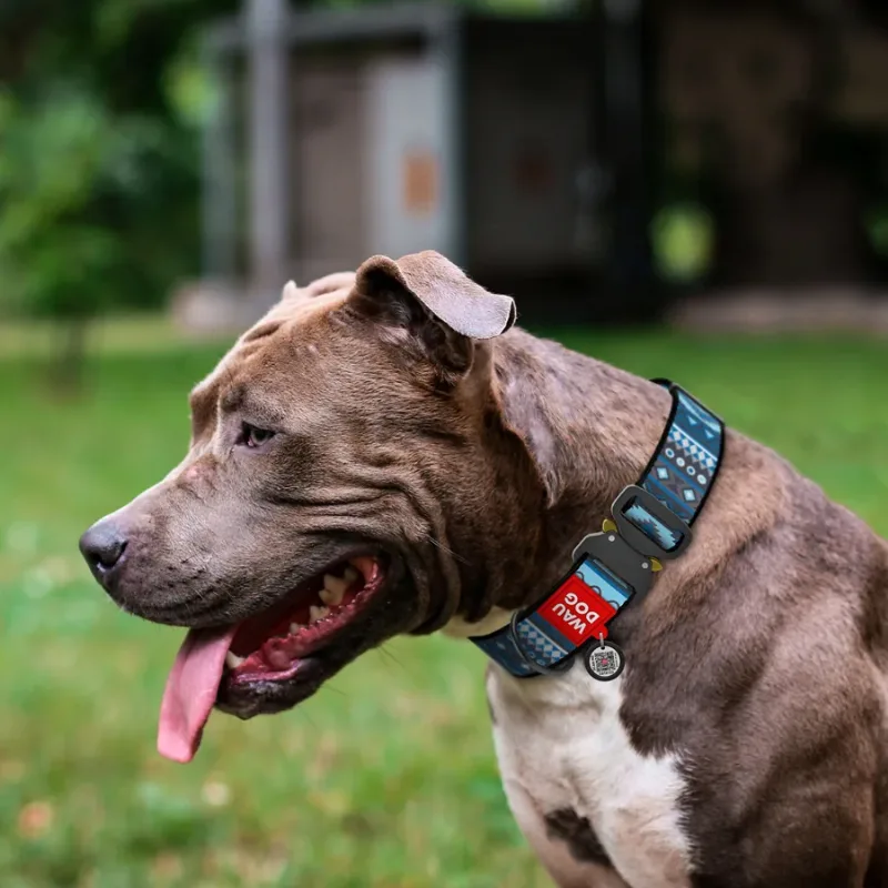 Нашийник для собак нейлоновий «Етно синій», XXL WAUDOG Nylon Collar Blue Ethno