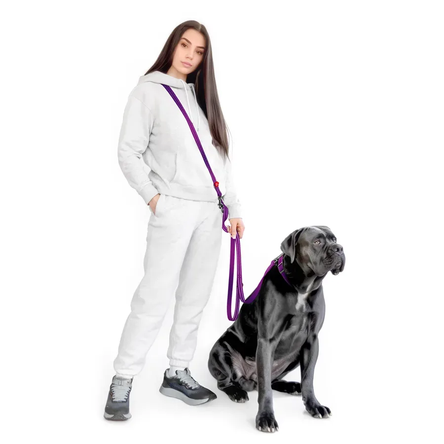 Повідець-перестібка для собак, світловідбивний, M, фіолетовий WAUDOG Nylon Mono Adjustable Leash