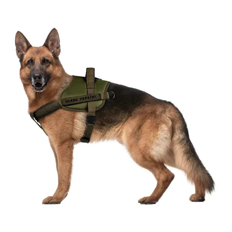 Шлея для службових собак, L, хакі WAUDOG PRO Harness