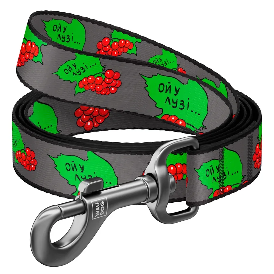 Повідець для собак нейлоновий «Калина», M WAUDOG Nylon Leash Kalyna