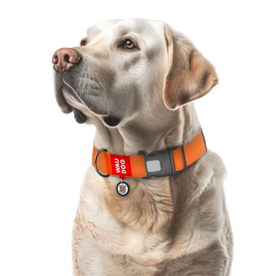Ошейник для собак водостойкий, пластиковая пряжка, XXL, оранжевый WAUDOG Waterproof Collar