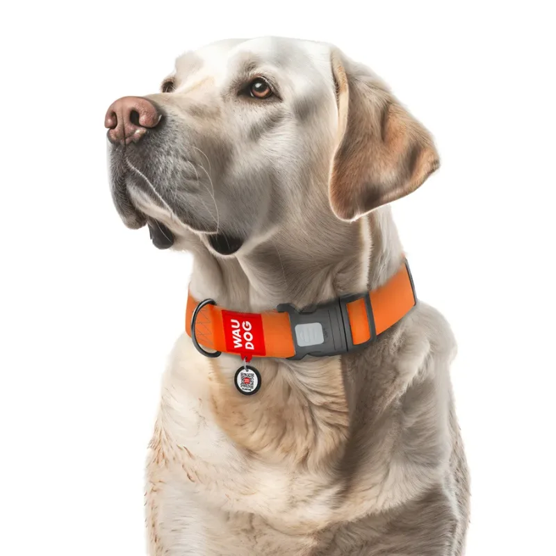 Ошейник для собак водостойкий, пластиковая пряжка, XXL, оранжевый WAUDOG Waterproof Collar