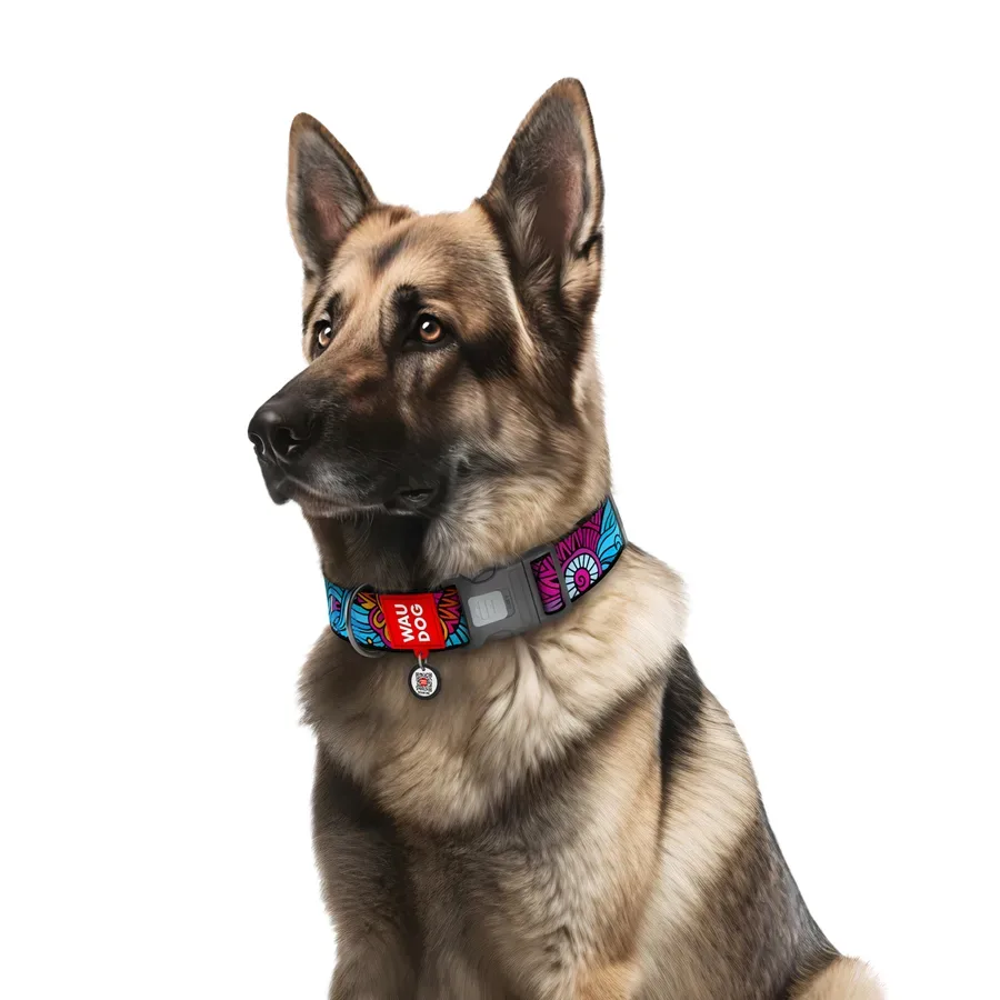 Ошейник для собак нейлоновый «Лето», пластиковая пряжка, XXL WAUDOG Nylon Collar Summer