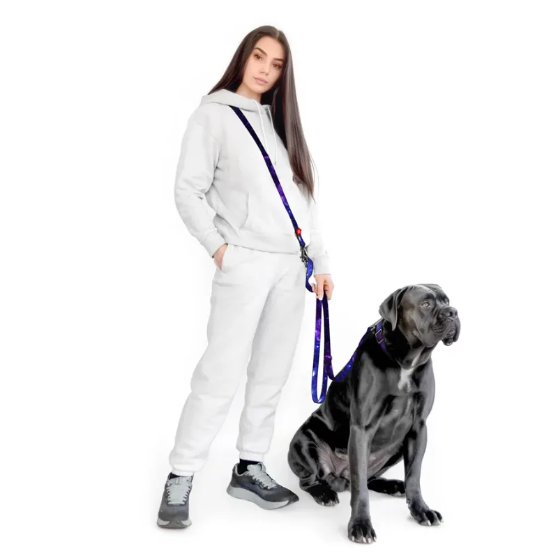 Повідець-перестібка для собак «NASA21», M WAUDOG Nylon Adjustable Leash NASA21