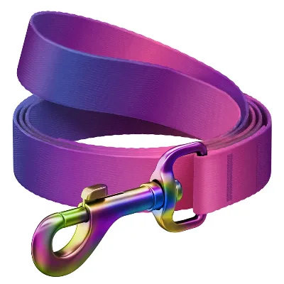 Повідець для собак з нейлону, градієнт, L-XXL, фіолетовий WAUDOG Nylon Recycled Leash