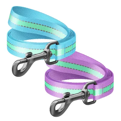 Повідець для собак нейлоновий, світонакоплювальний, S, блакитний WAUDOG Nylon Leash