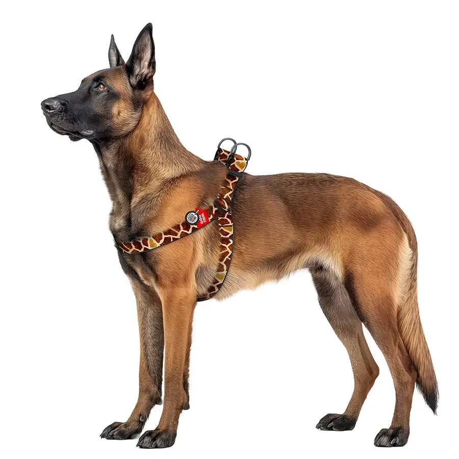 Шлея для собак «Жираф», XL WAUDOG Nylon Harness Giraffe