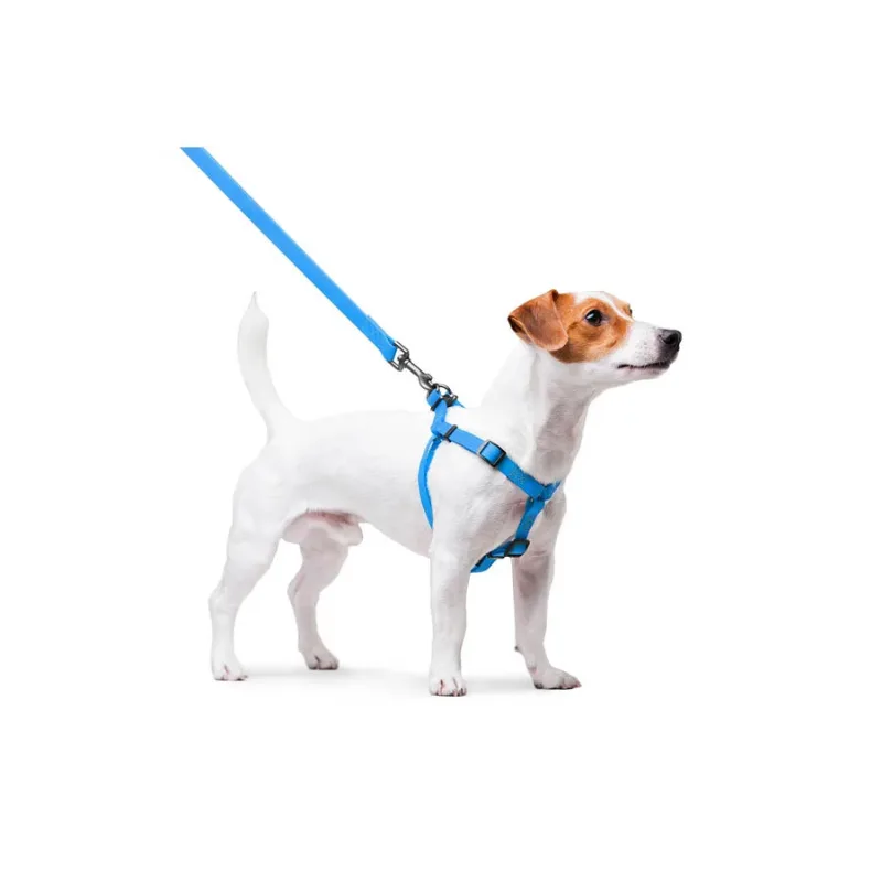 Шлея для собак водостійка, S, блакитний WAUDOG Waterproof Harness