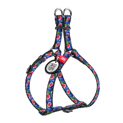 Шлея для котів та дрібних порід собак «Інжир», XS WAUDOG Nylon Harness Figs