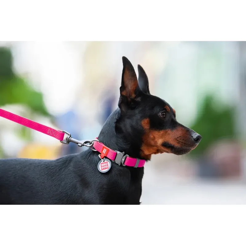 Нашийник для собак водостійкий, металева пряжка, L, рожевий WAUDOG Waterproof Collar