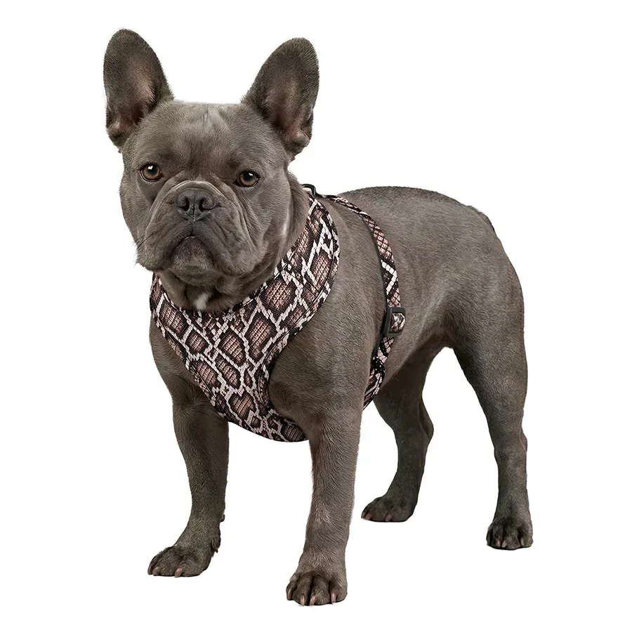Шлея для собак дихаюча «Змія», L WAUDOG Mesh Soft Harness Snake