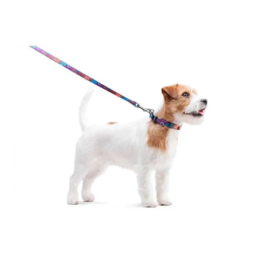 Ошейник для собак нейлоновый «Лето», пластиковая пряжка, S WAUDOG Nylon Collar Summer