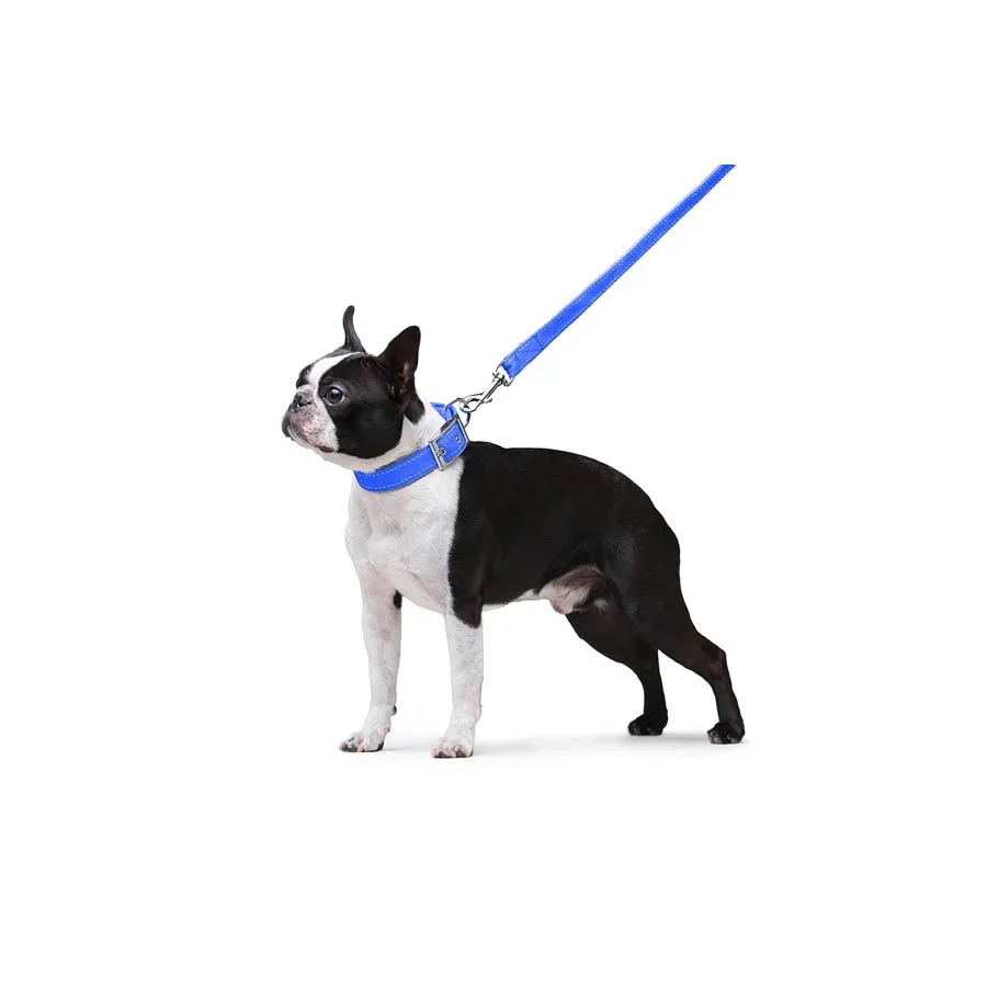 Повідець з нейлону подвійний, M, блакитний Dog Extreme Leash