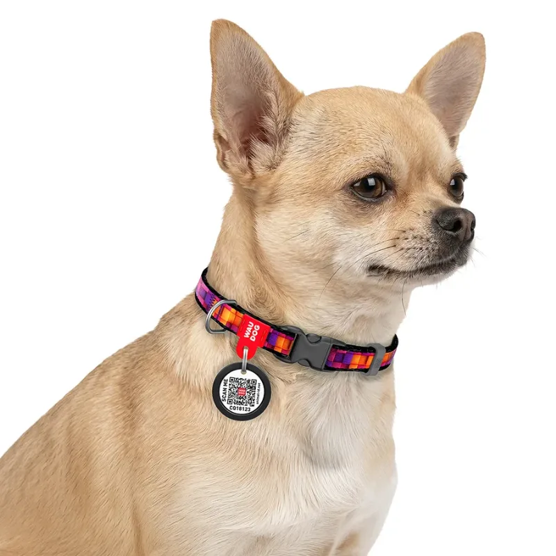 Ошейник для котов и мелких пород собак нейлоновый «Кубы 3Д», XS WAUDOG Nylon Collar 3D Cubes