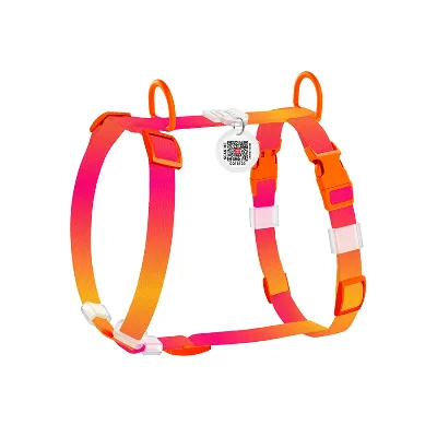 Шлея для собак анатомическая H-образная, градиент, XS, оранжевый WAUDOG Nylon Recycled Harness
