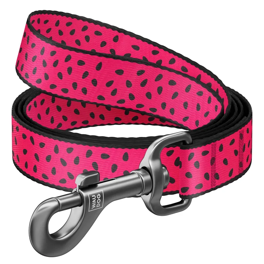 Повідець для собак нейлоновий «Кавун», S WAUDOG Nylon Leash Watermelon