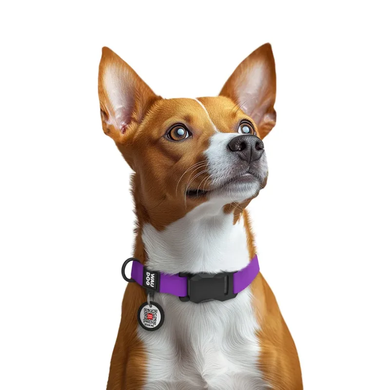 Нашийник для собак водостійкий паспортом, S, фіолетовий WAUDOG Magnetc QR Collar