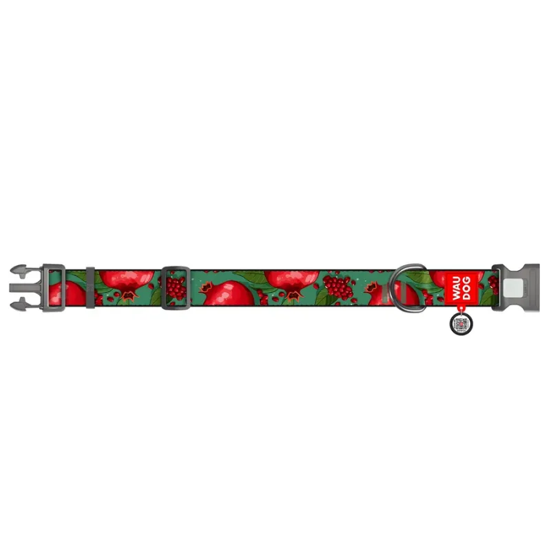Нашийник для собак нейлоновий «Гранати», XXL WAUDOG Nylon Collar Pomegranates