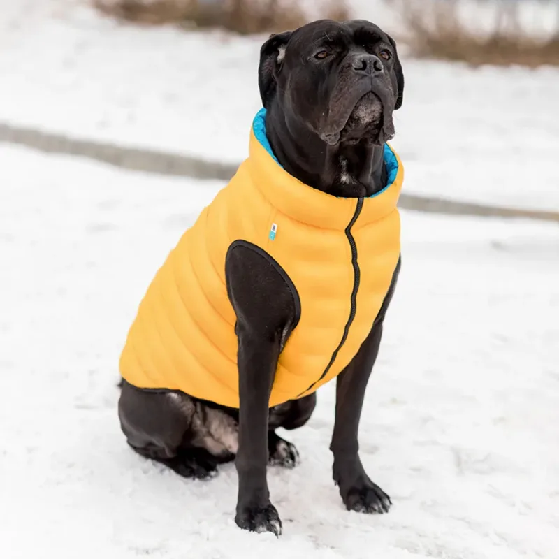 Двостороння курточка для собак, L55, жовто-блакитна AiryVest Dog Jacket
