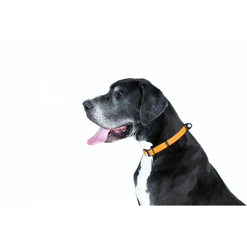 Нашийник, регульований, універсальний, S-XL, помаранчевий EVOLUTOR Collar