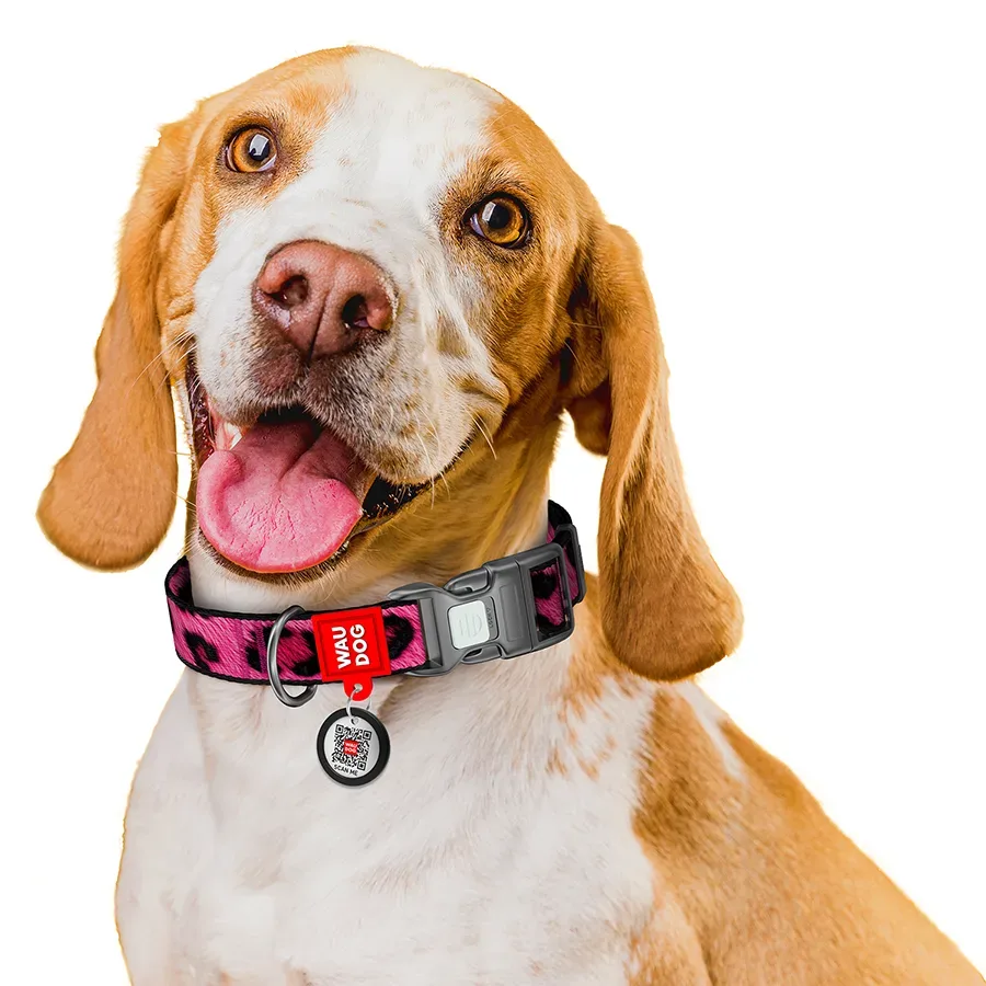 Нашийник для собак нейлоновий «Леопард рожевий», XL WAUDOG Nylon Collar Pink Leopard