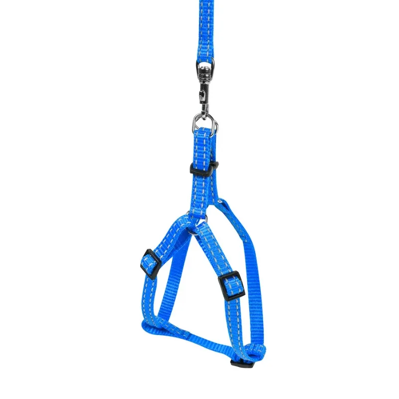 Шлея з нейлону регульована з повідцем, XS, блакитний Dog Extreme Harness with Leash