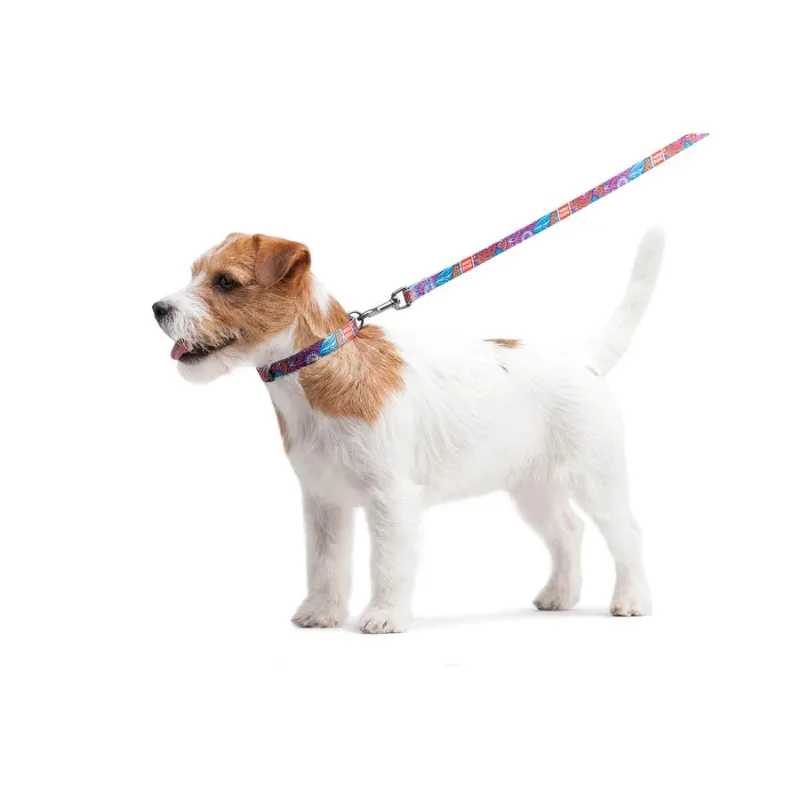 Повідець для собак нейлоновий «Літо», S WAUDOG Nylon Leash Summer