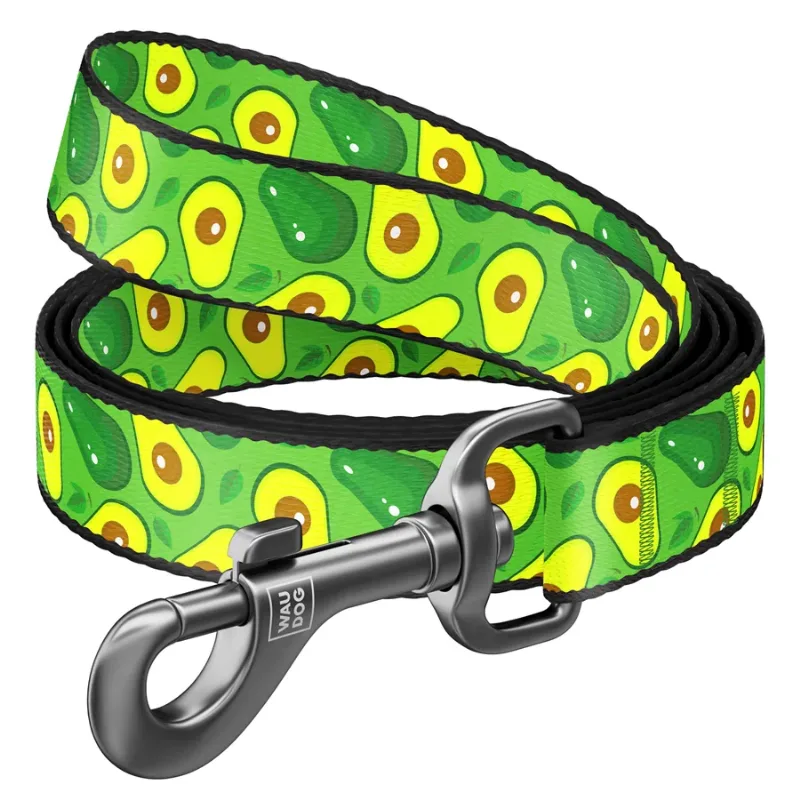 Повідець для собак нейлоновий «Авокадо», L-XXL WAUDOG Nylon Leash Avocado