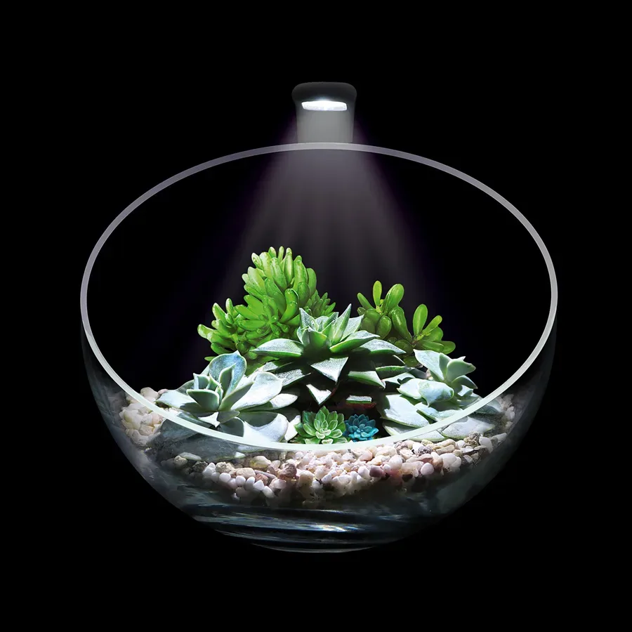 Декоративний акваріумний набір Wabi Set AquaLighter WabiSet Florarium Kit