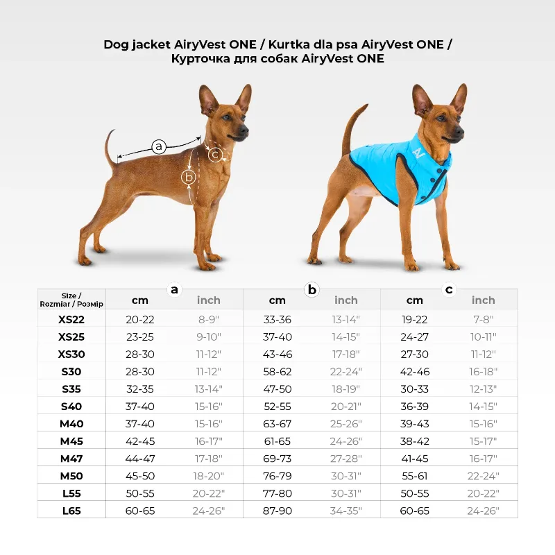 Курточка для собак, L55, блакитний AiryVest ONE Dog Jacket