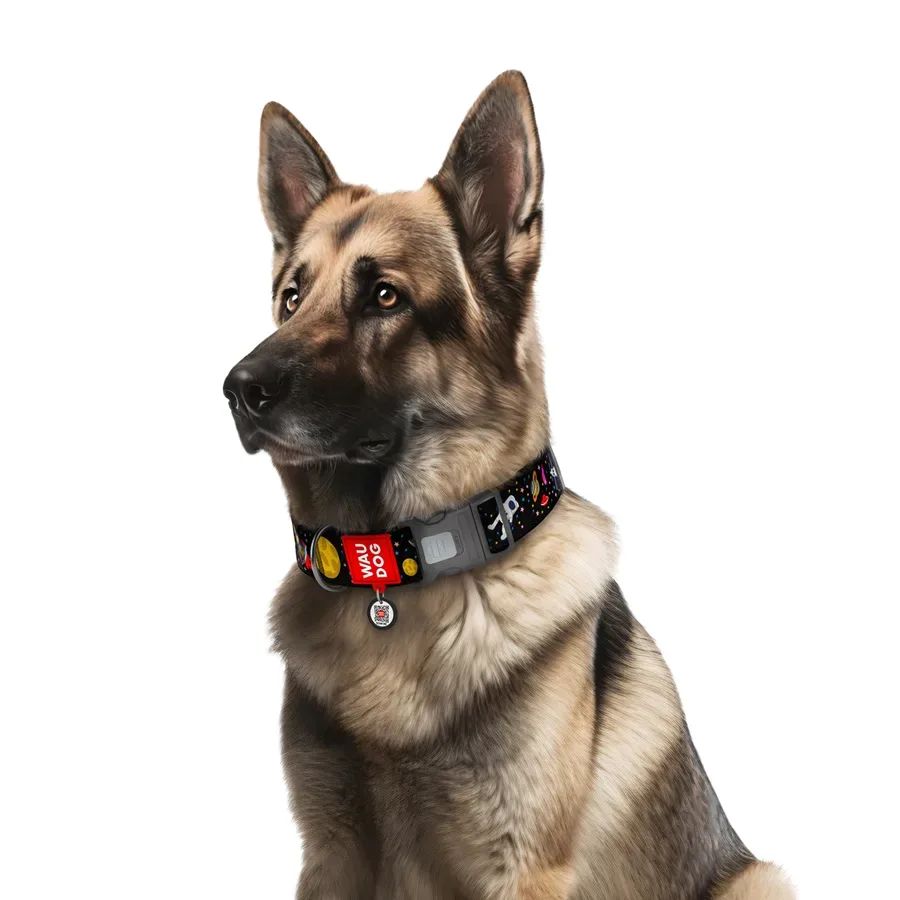 Нашийник для собак нейлоновий «NASA», пластикова пряжка, XXL WAUDOG Nylon Collar NASA