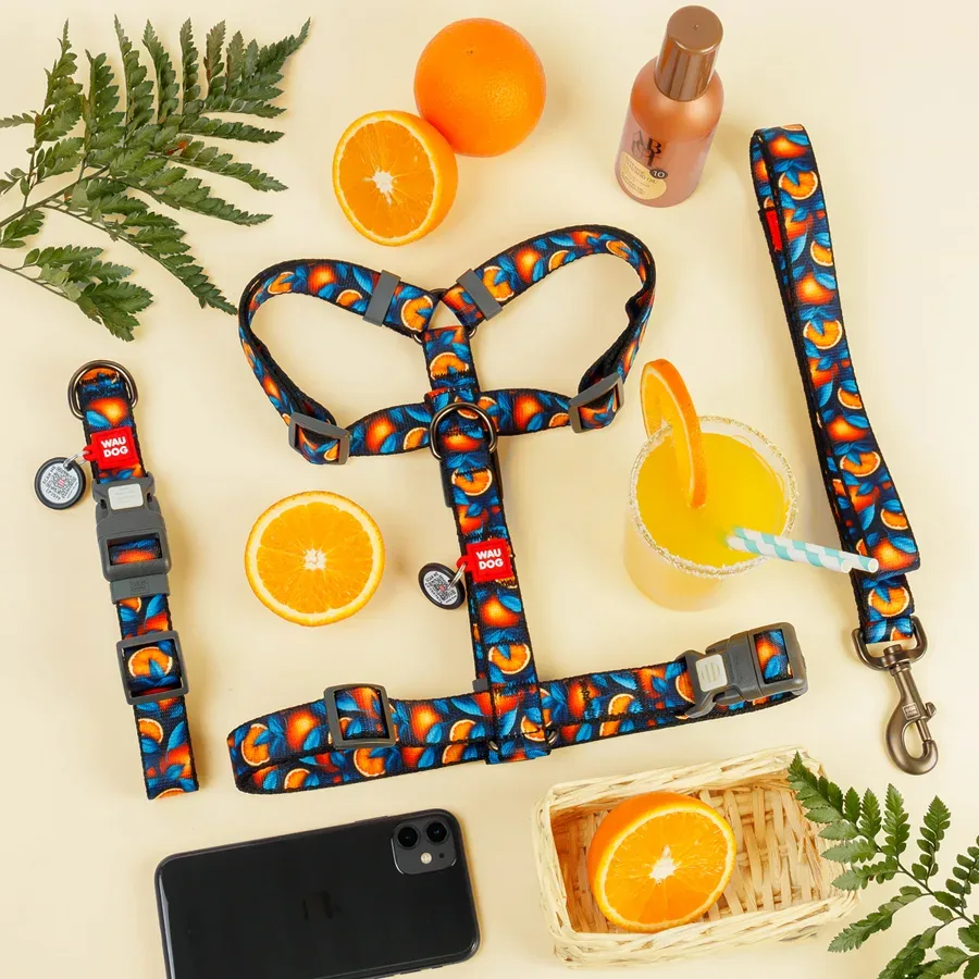 Повідець для собак нейлоновий «Апельсини», 15 мм × 122 см, S WAUDOG Nylon Leash Oranges