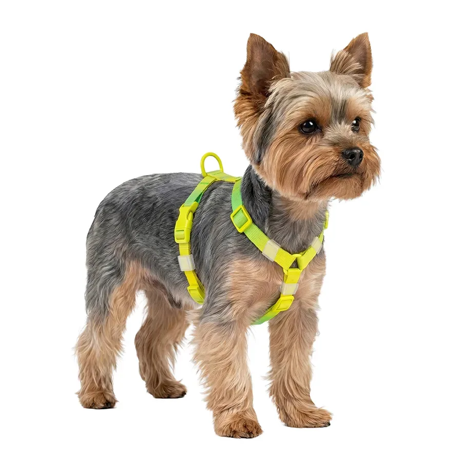 Шлея для собак анатомічна H-подібна, градієнт, XS, салатовий WAUDOG Nylon Recycled Harness